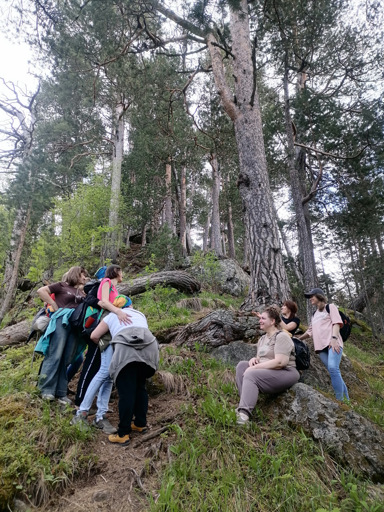 Величественное Приэльбрусье. Комфорт-тур без рюкзаков (37/53)