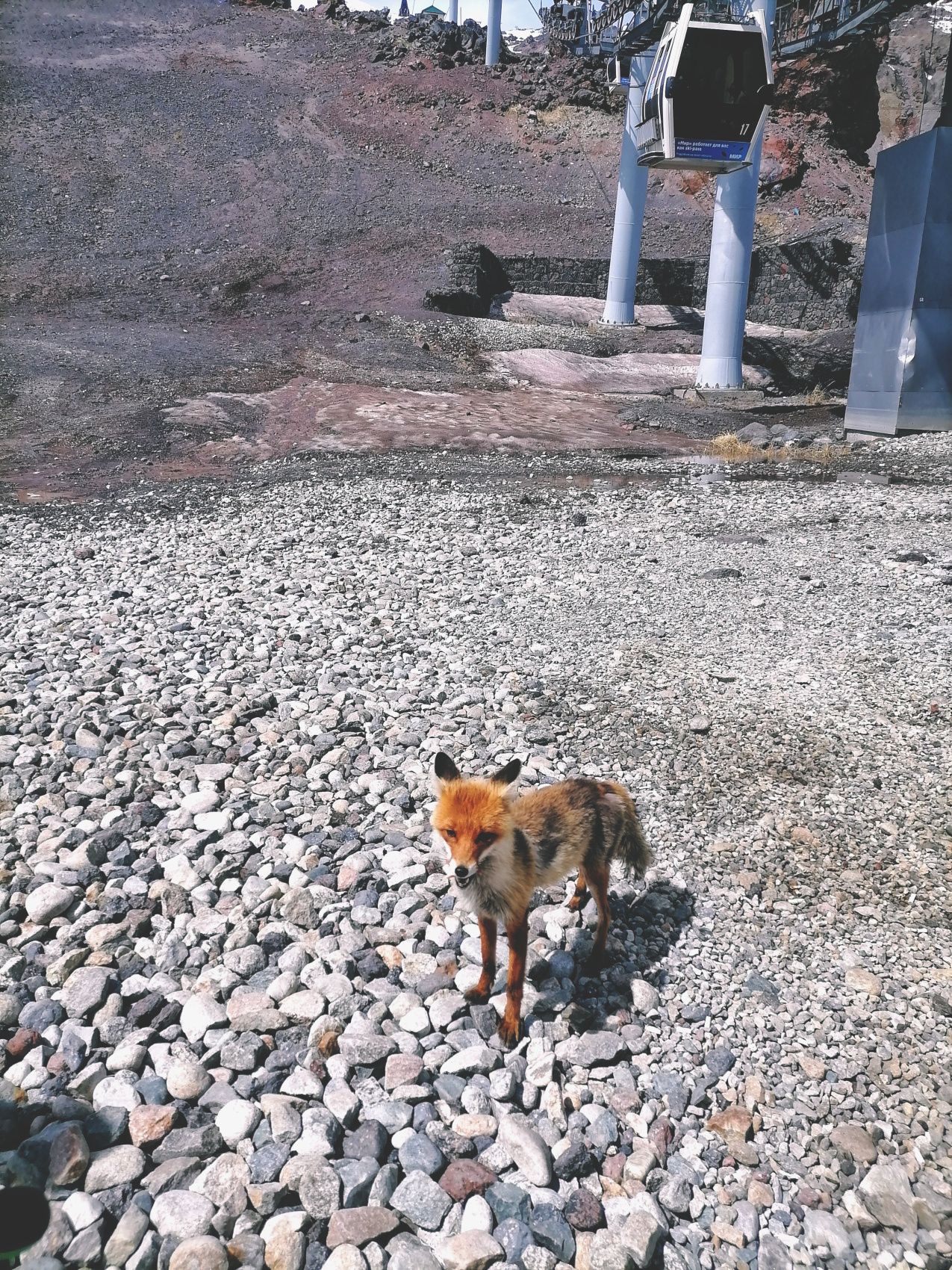 Величественное Приэльбрусье. Комфорт-тур без рюкзаков (16/53)