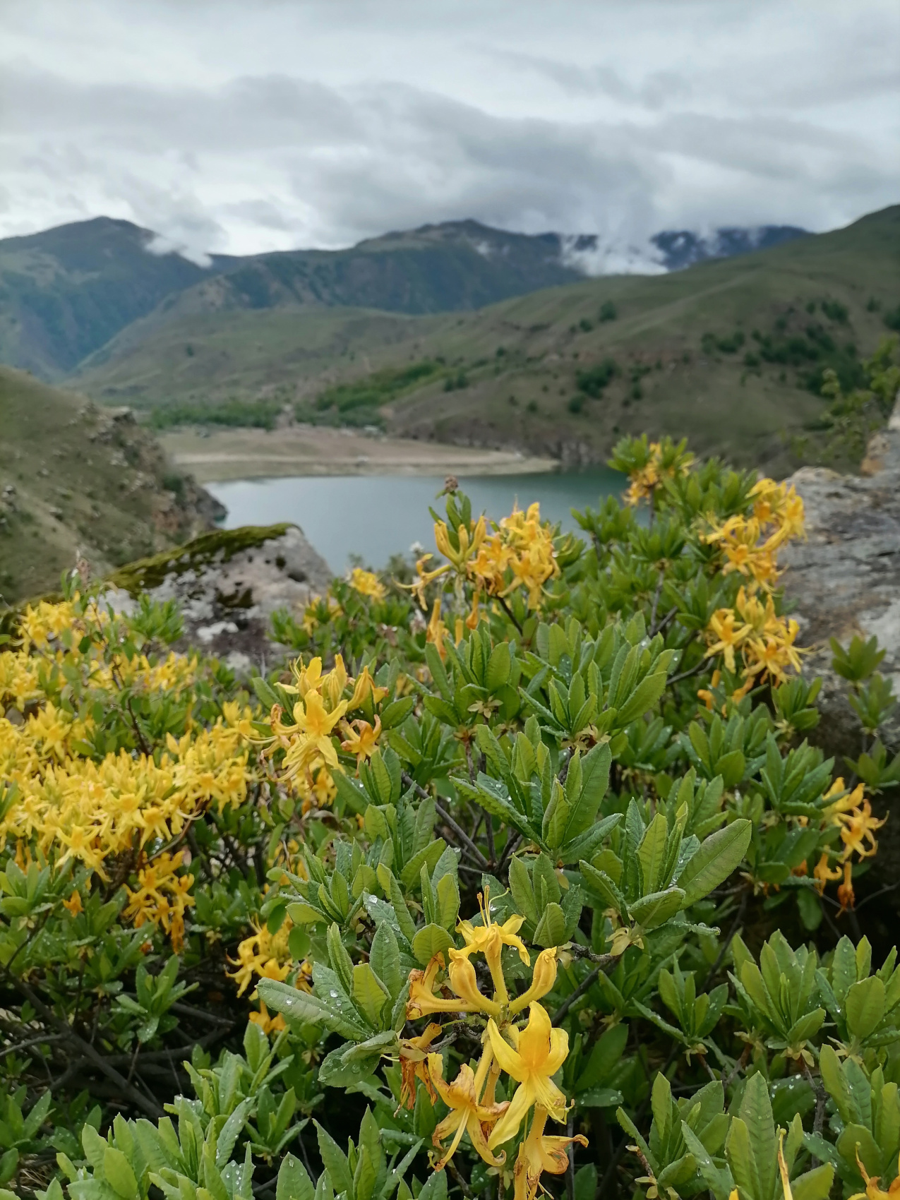 Величественное Приэльбрусье. Комфорт-тур без рюкзаков (34/53)