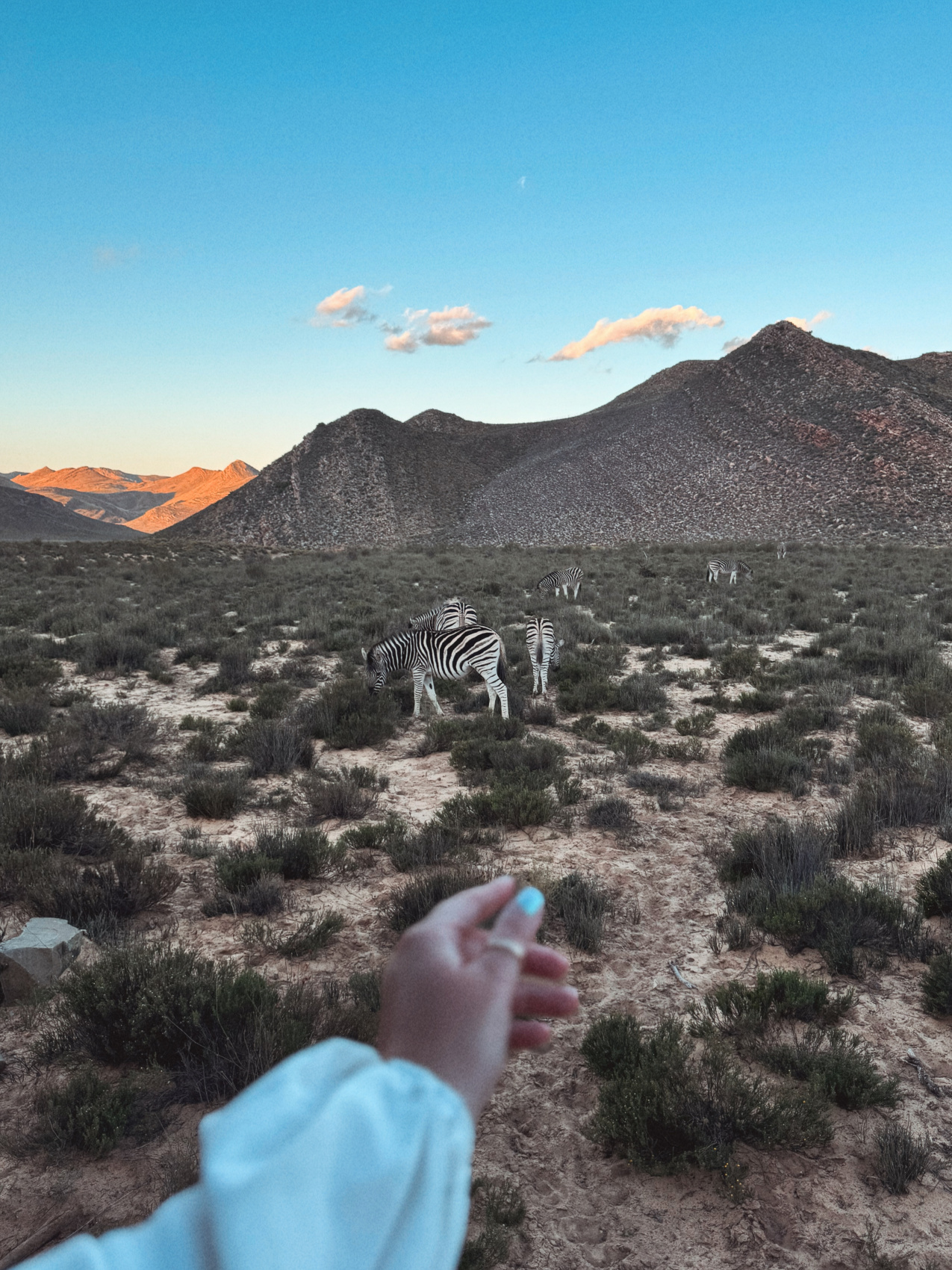 Африканское приключение в Юар (27/109)