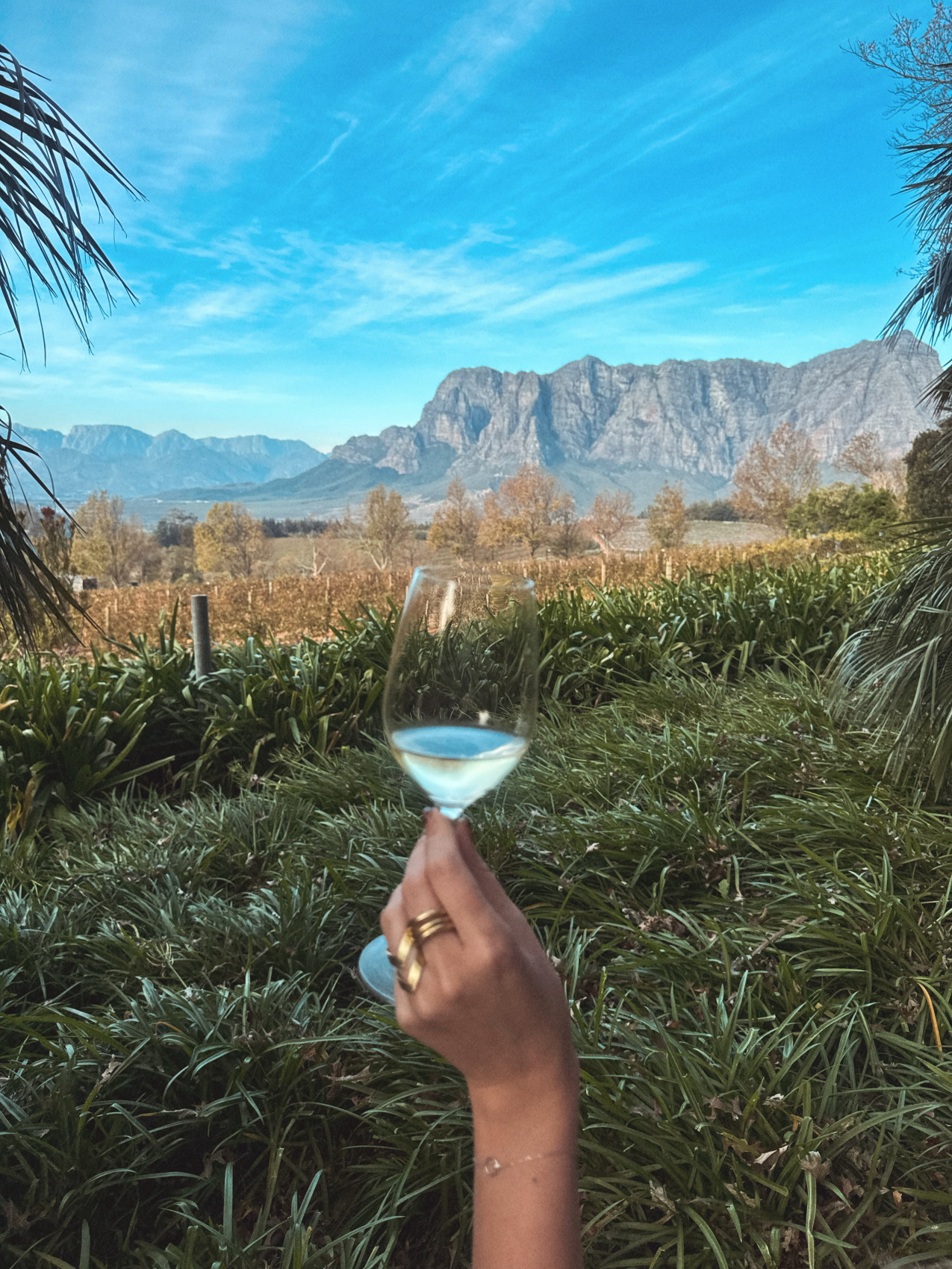 Африканское приключение в Юар (26/109)