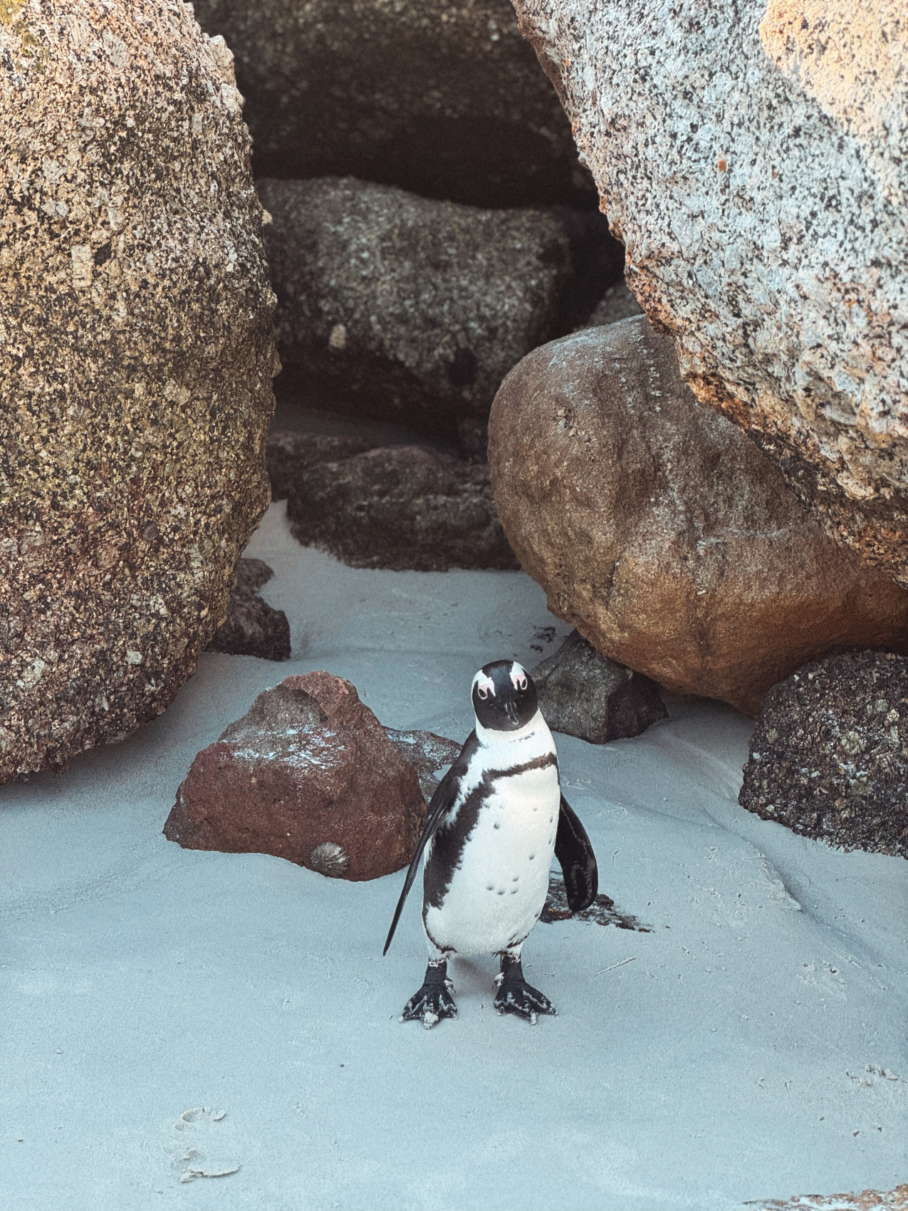 Африканское приключение в Юар (49/109)