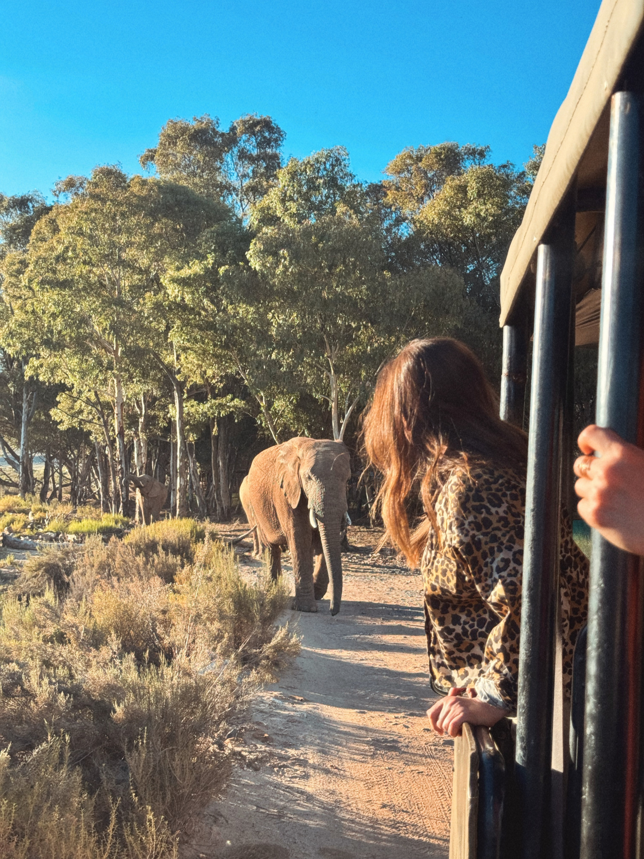 Африканское приключение в Юар (22/109)