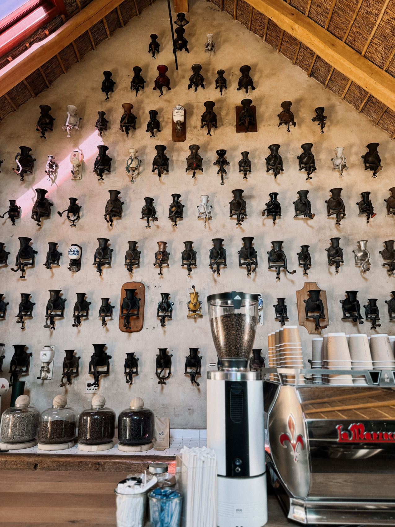 Африканское приключение в Юар (35/109)