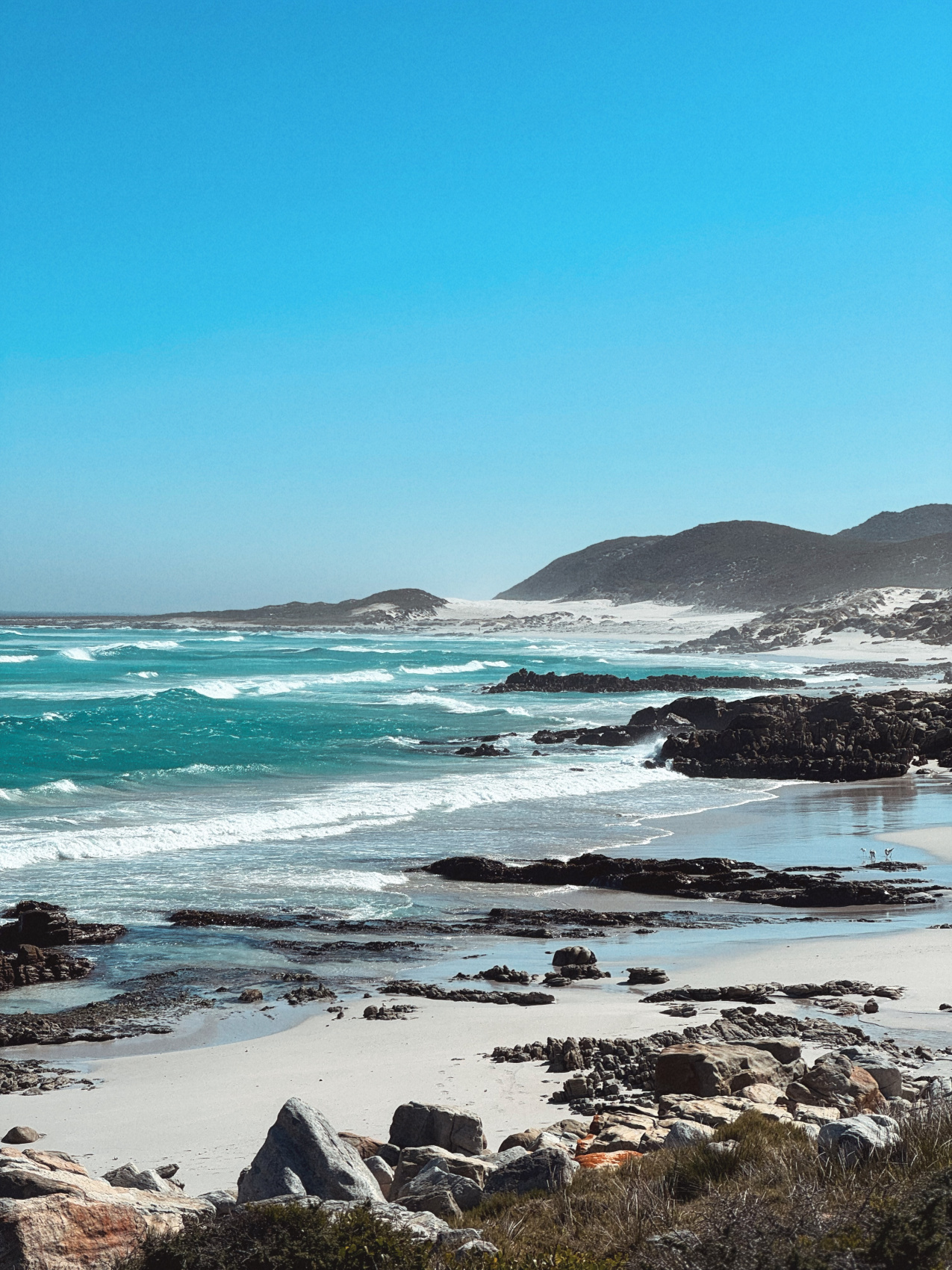 Африканское приключение в Юар (48/109)