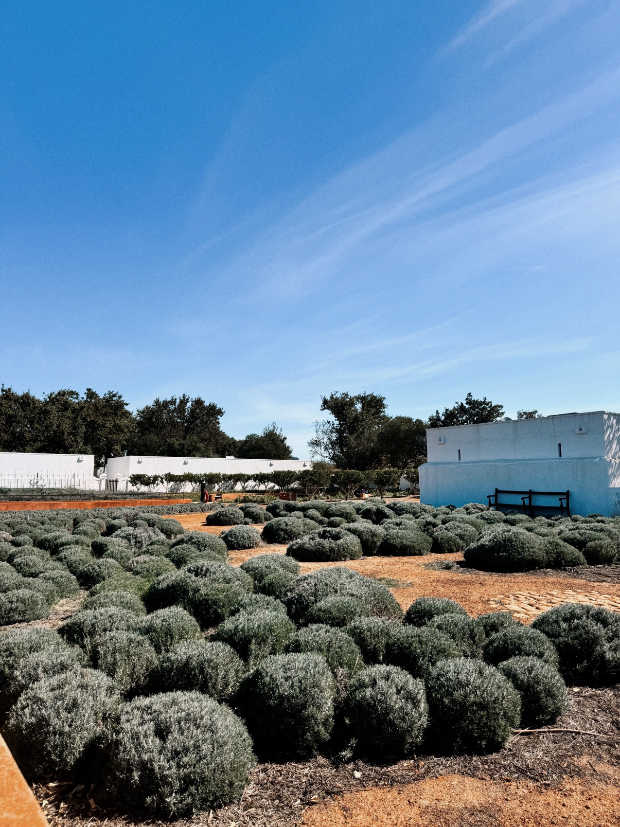 Африканское приключение в Юар (36/109)