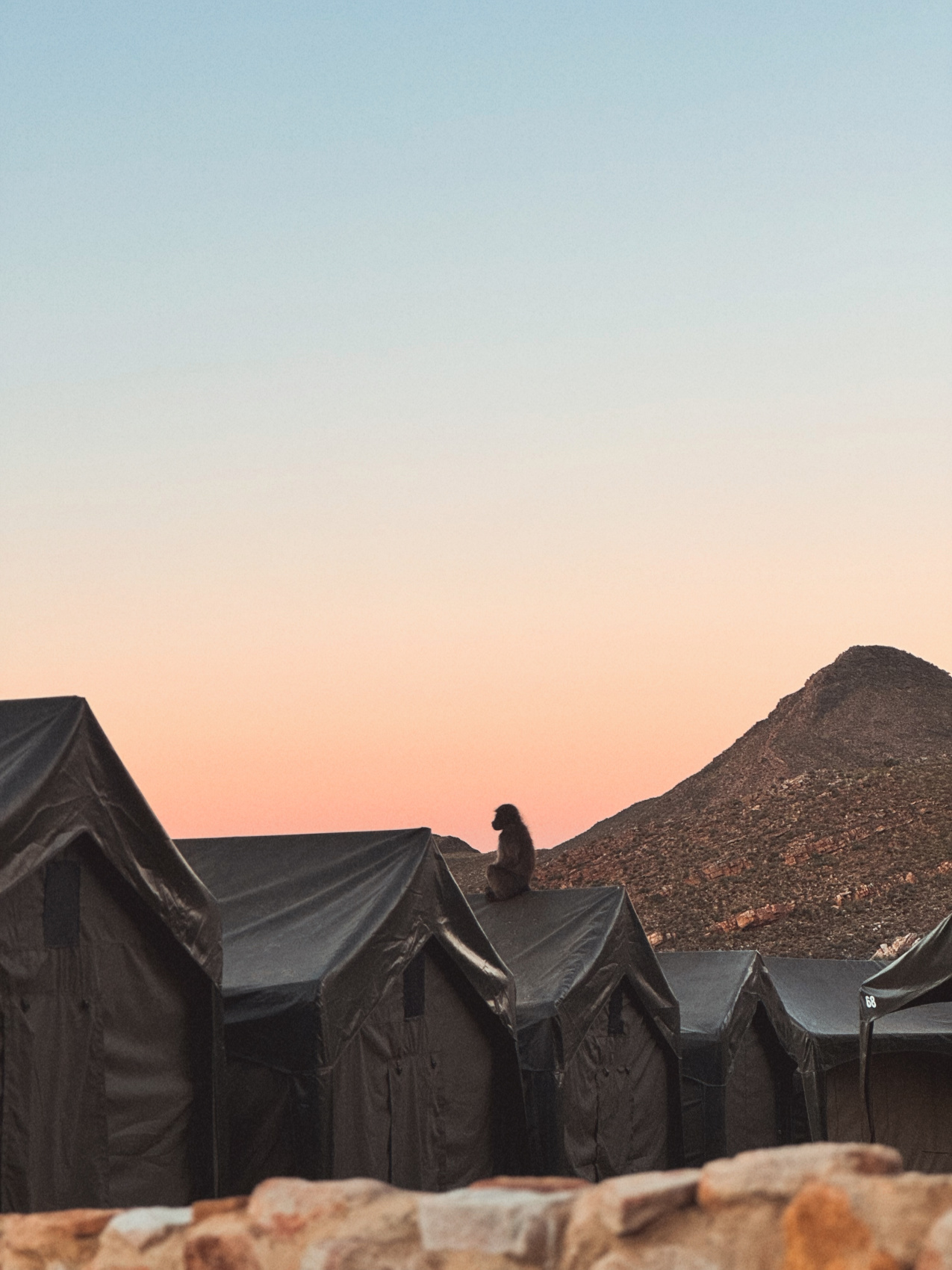 Африканское приключение в Юар (24/109)