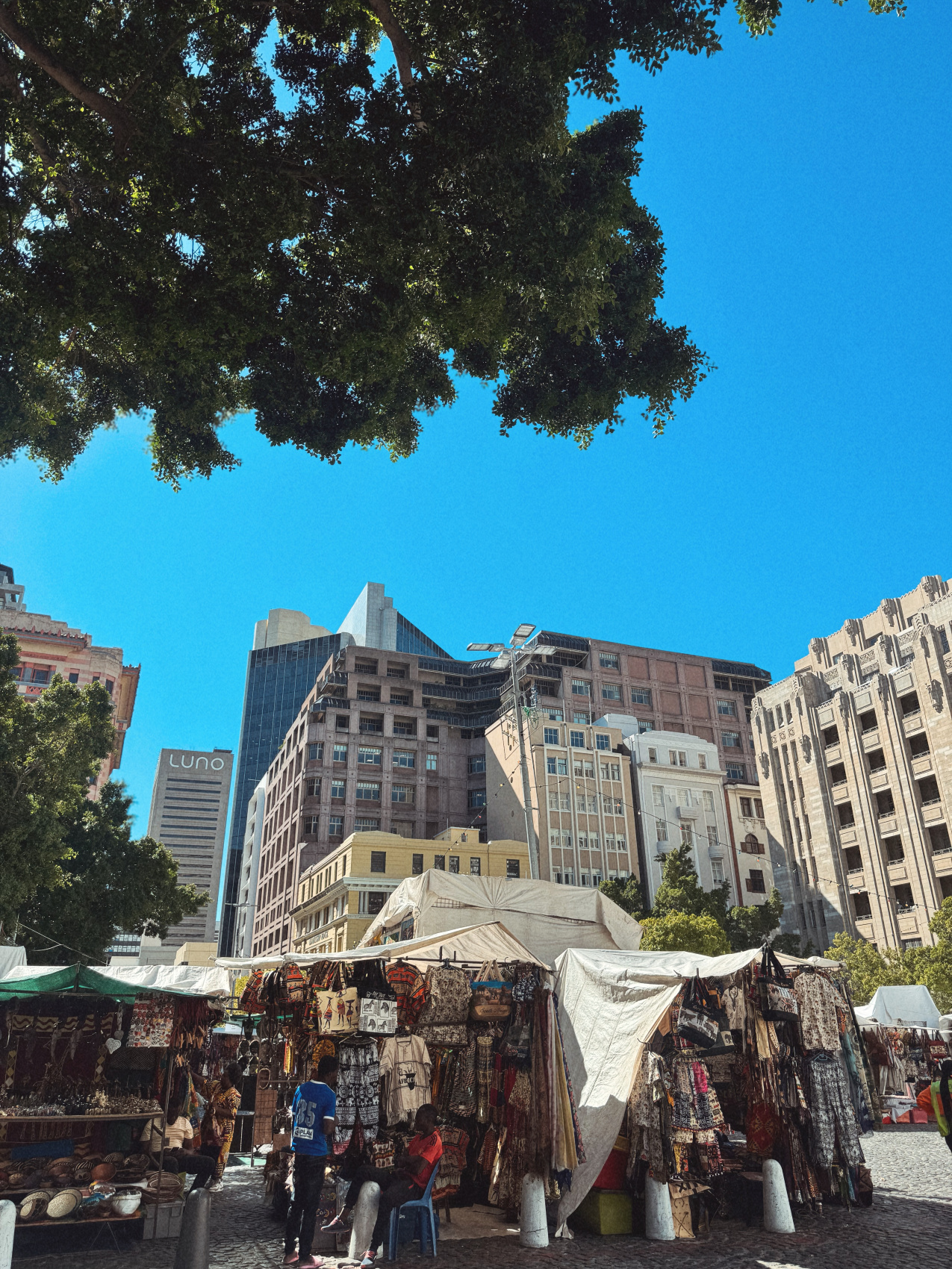 Африканское приключение в Юар (16/109)