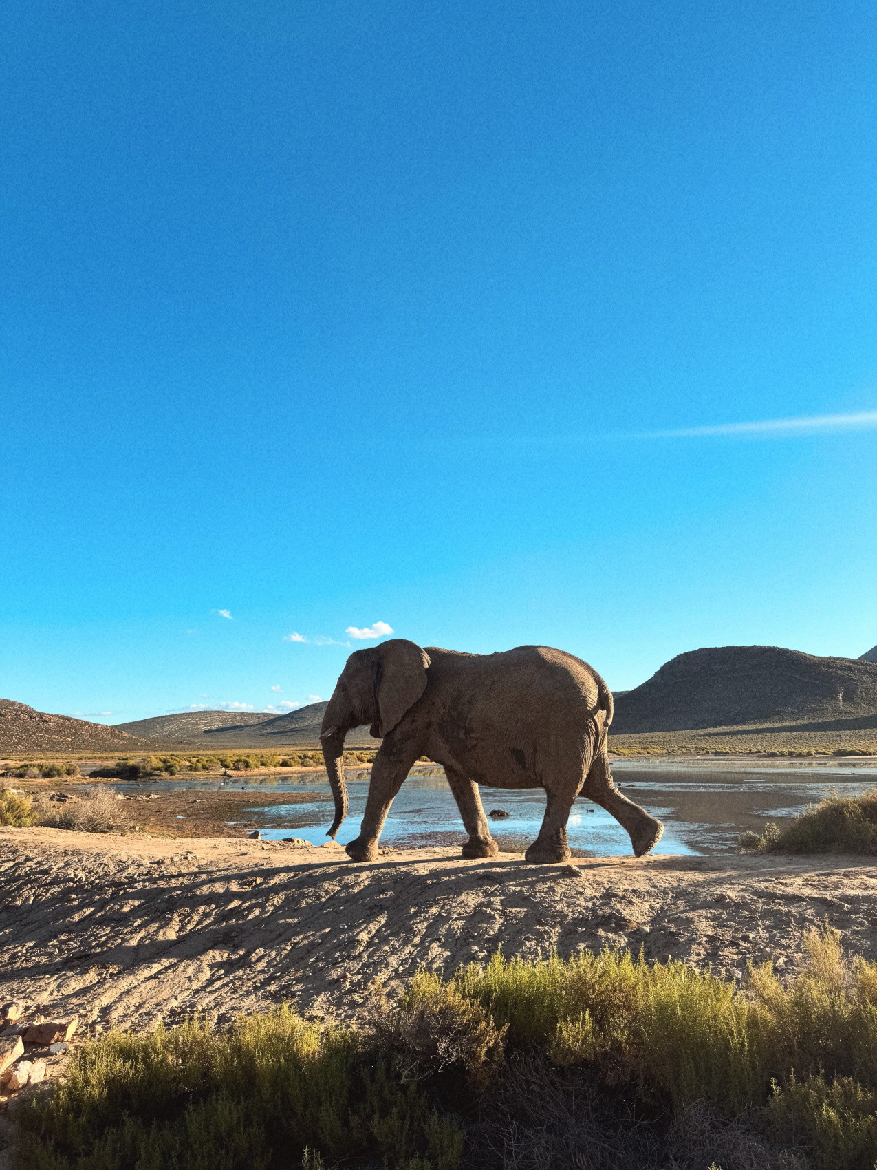 Африканское приключение в Юар (42/109)