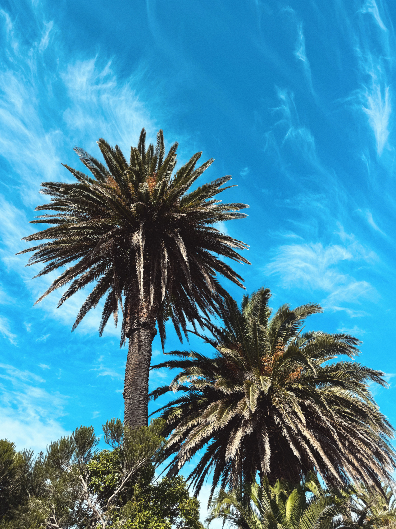 Африканское приключение в Юар (29/109)