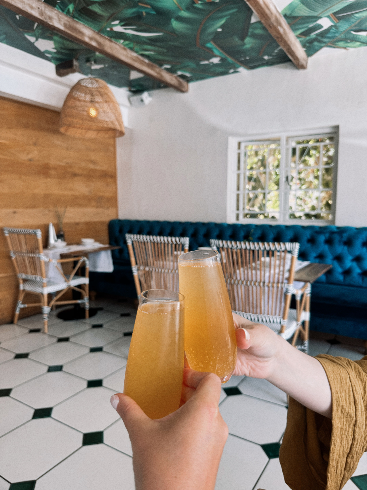 Африканское приключение в Юар (30/109)