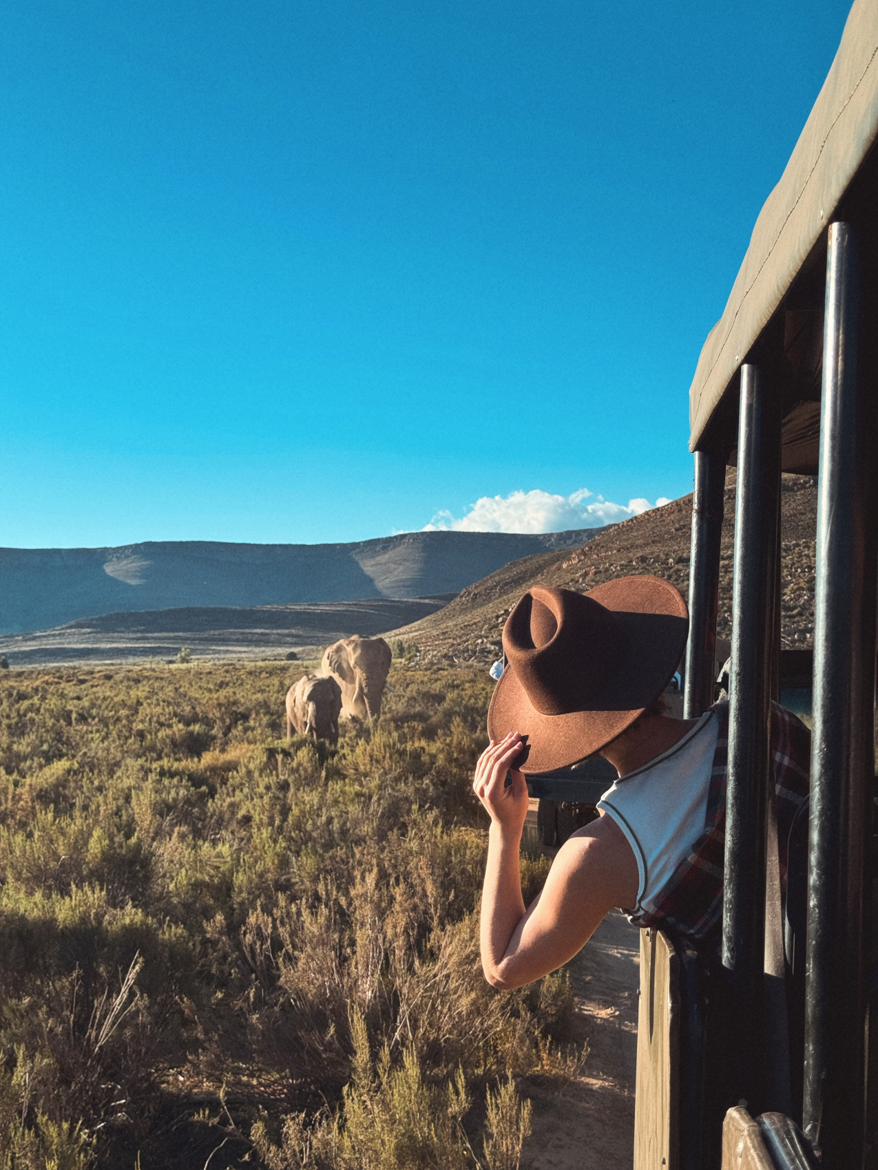 Африканское приключение в Юар (13/109)