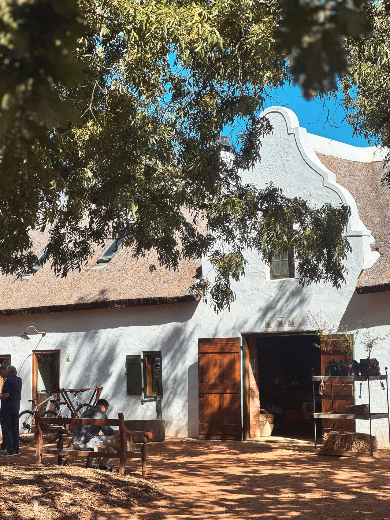 Африканское приключение в Юар (37/109)