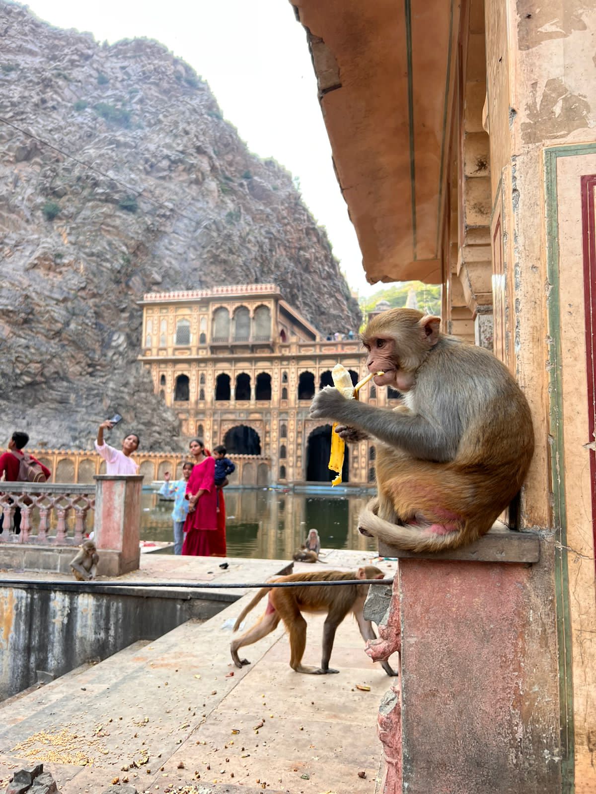 Золотой Треугольник + Варанаси (3/10)