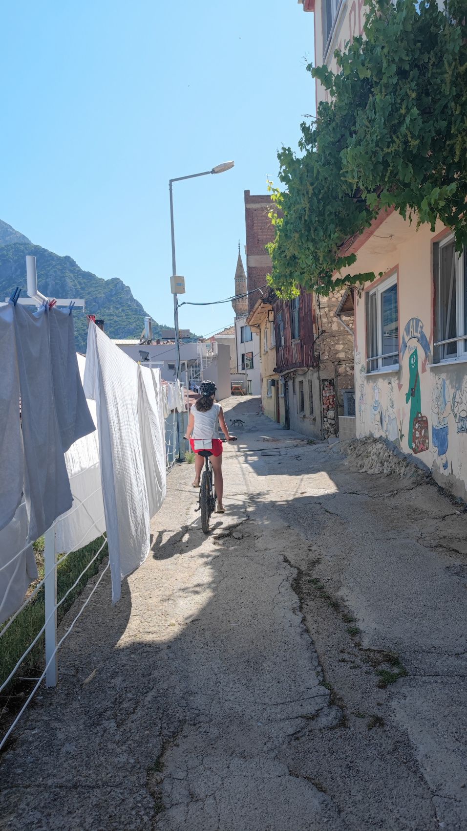 Таврские горы на электровелосипедах (18/39)