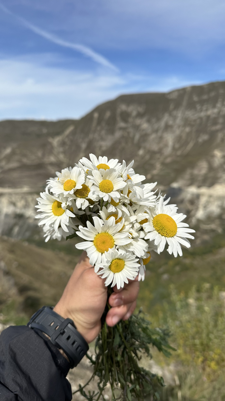 МОЛОДЁЖНЫЙ TRIP В ДАГЕСТАНЕ (81/173)