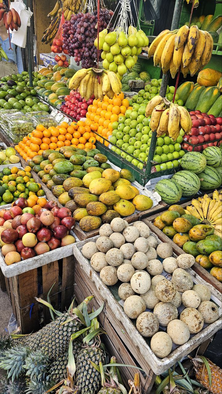 Приключения на Шри-Ланке (145/173)