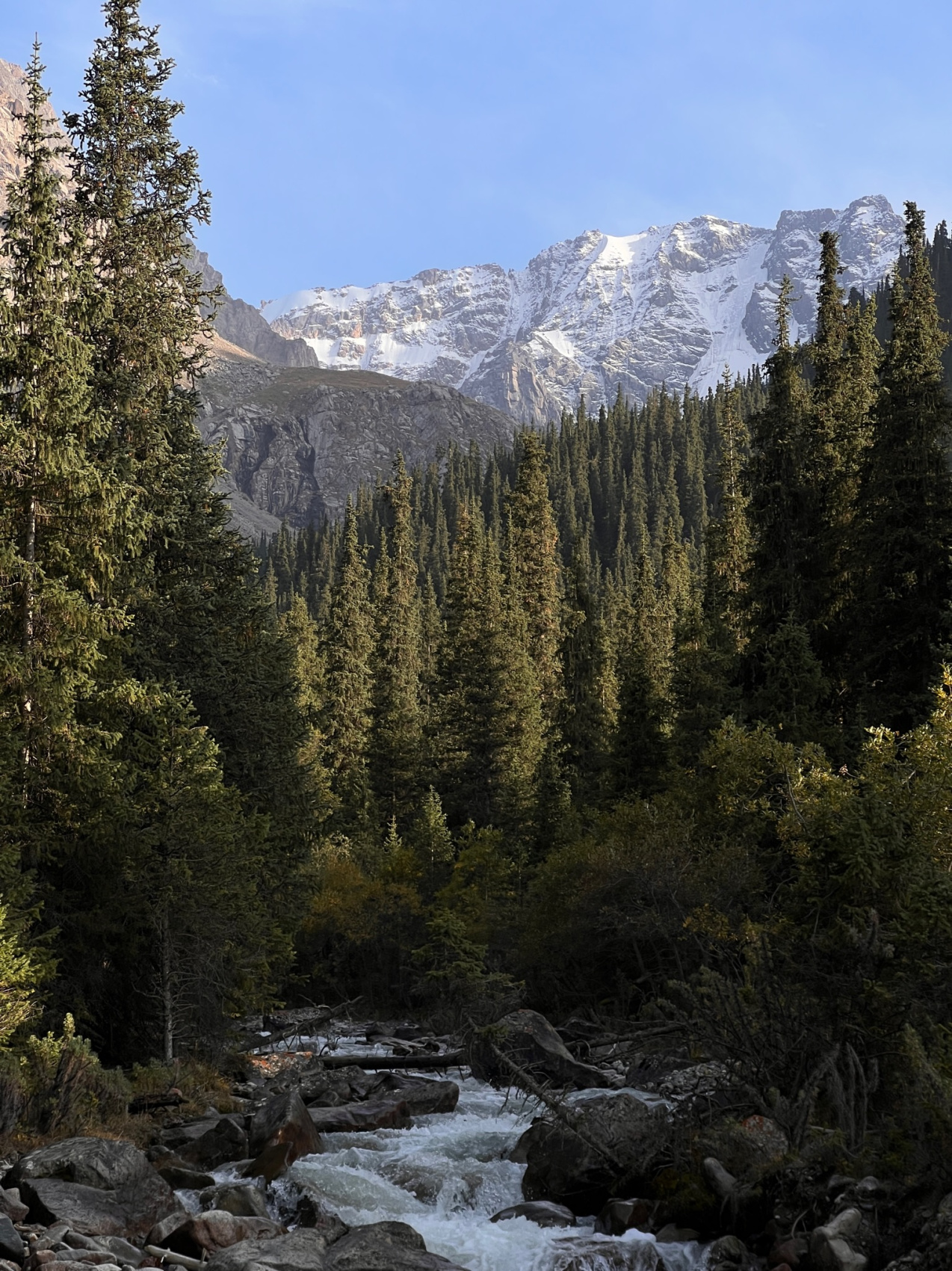 Путешествие на Тянь-Шань (4/42)