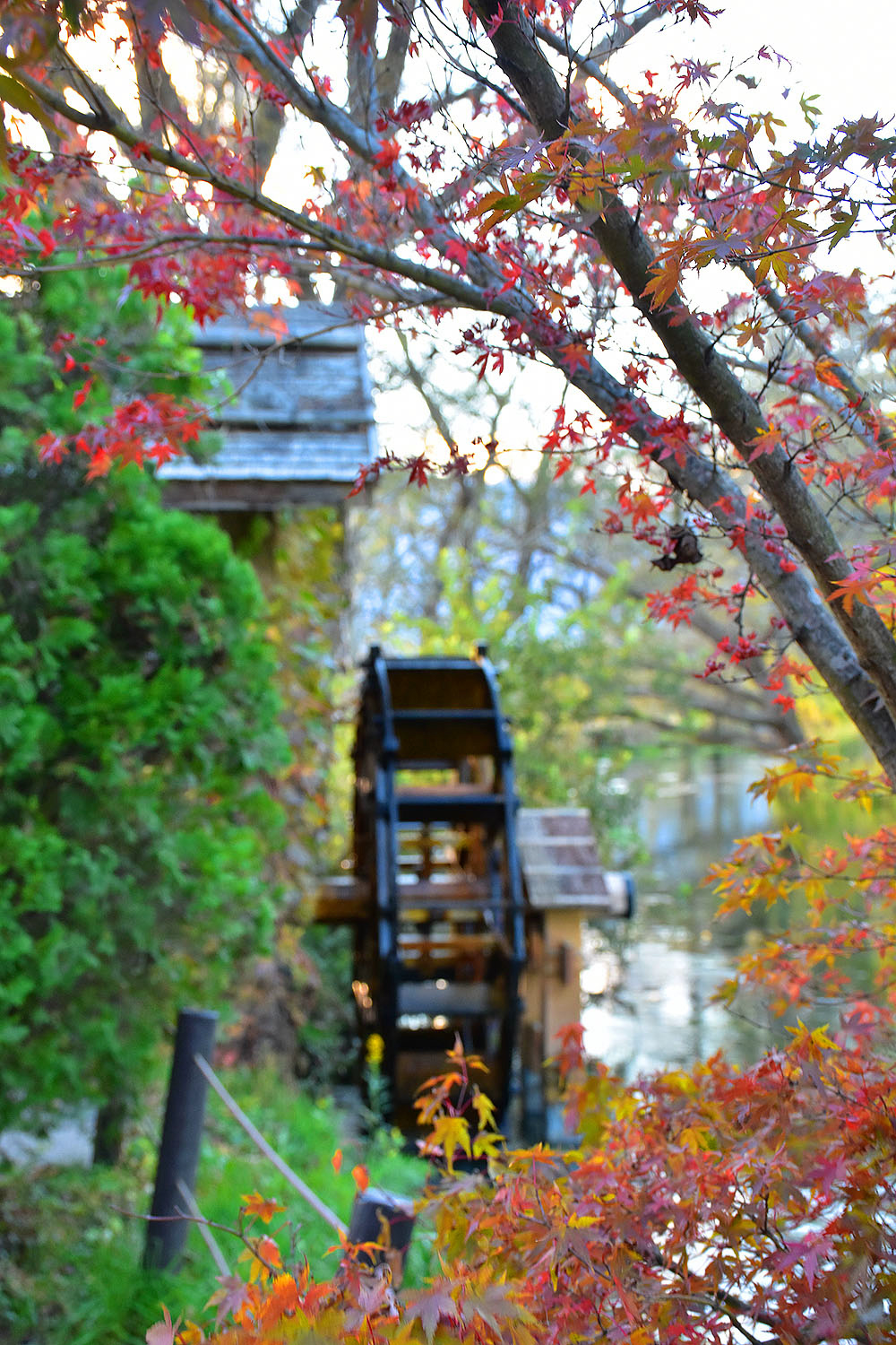 Люди и традиции (18/70)