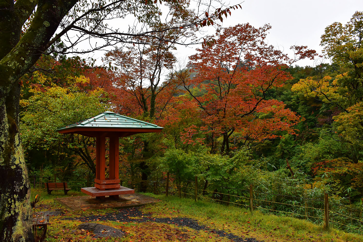 Люди и традиции (25/70)