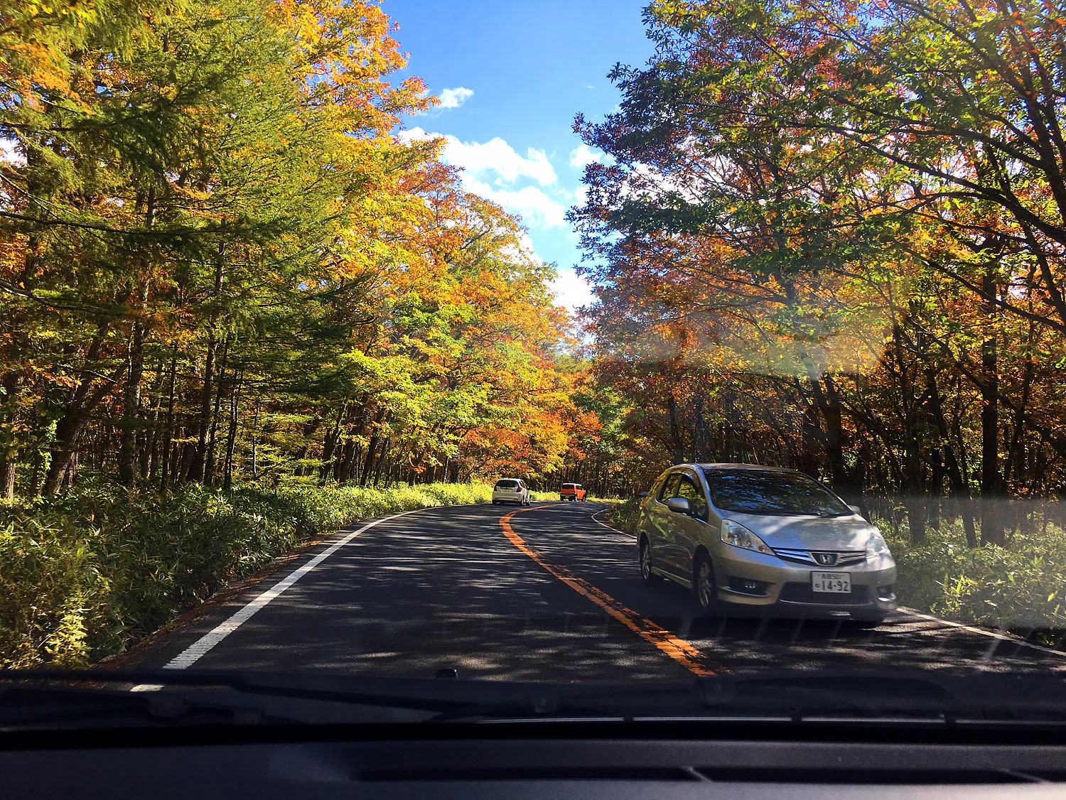 Люди и традиции (28/70)