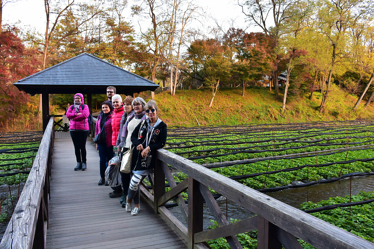 Люди и традиции (19/70)