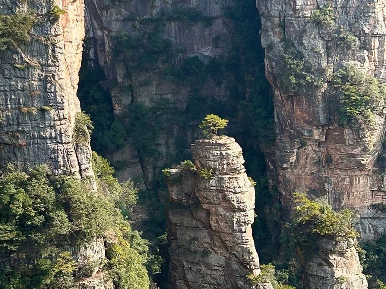 Китай. Цветение Сакуры и национальные парки. Мудрость Веков. (4/60)