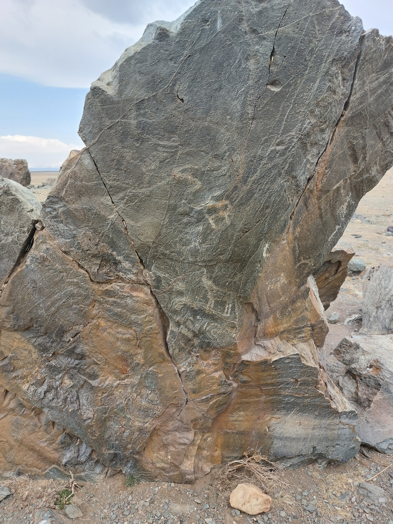 Цветение маральника. Автотур по Чуйскому тракту (4/28)