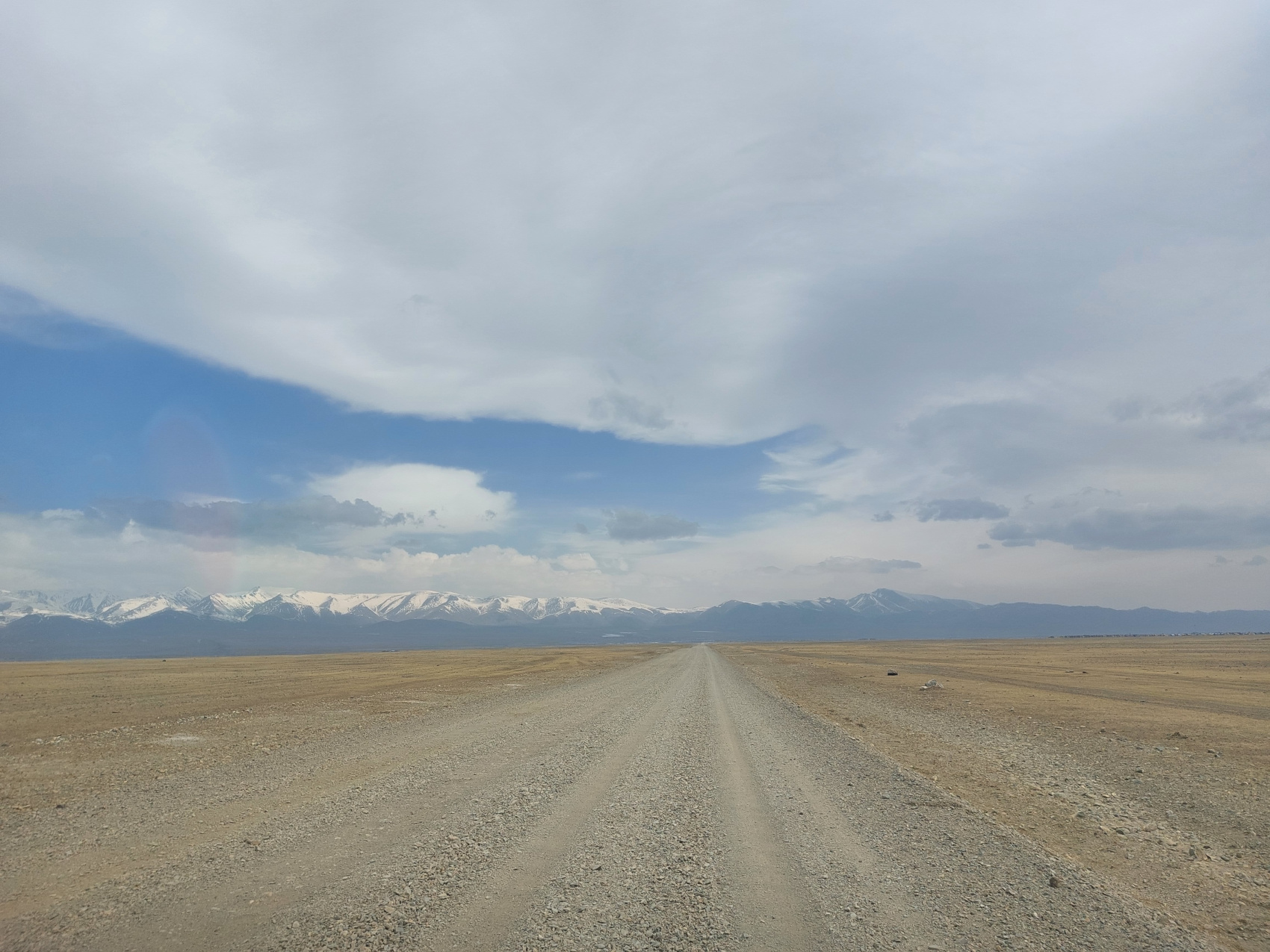 Цветение маральника. Автотур по Чуйскому тракту (5/28)