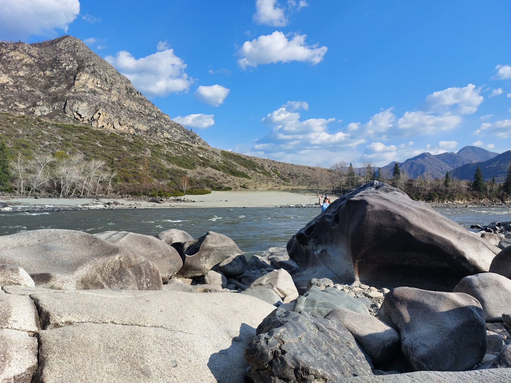 Цветение маральника. Автотур по Чуйскому тракту (3/28)