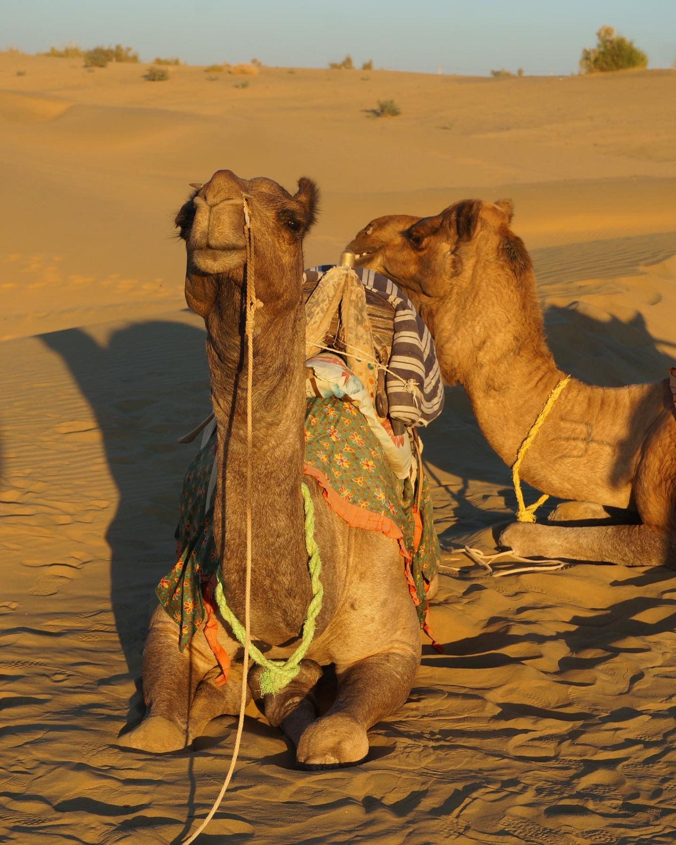 Цветные города Раджастана на Фестиваль Огней Дивали в ноябре. (13/13)