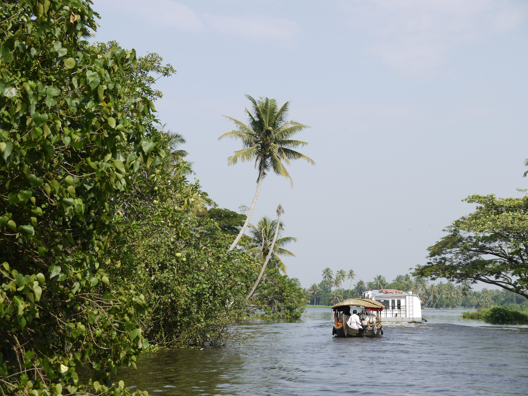 Тропическая Керала на Новый год (2/16)