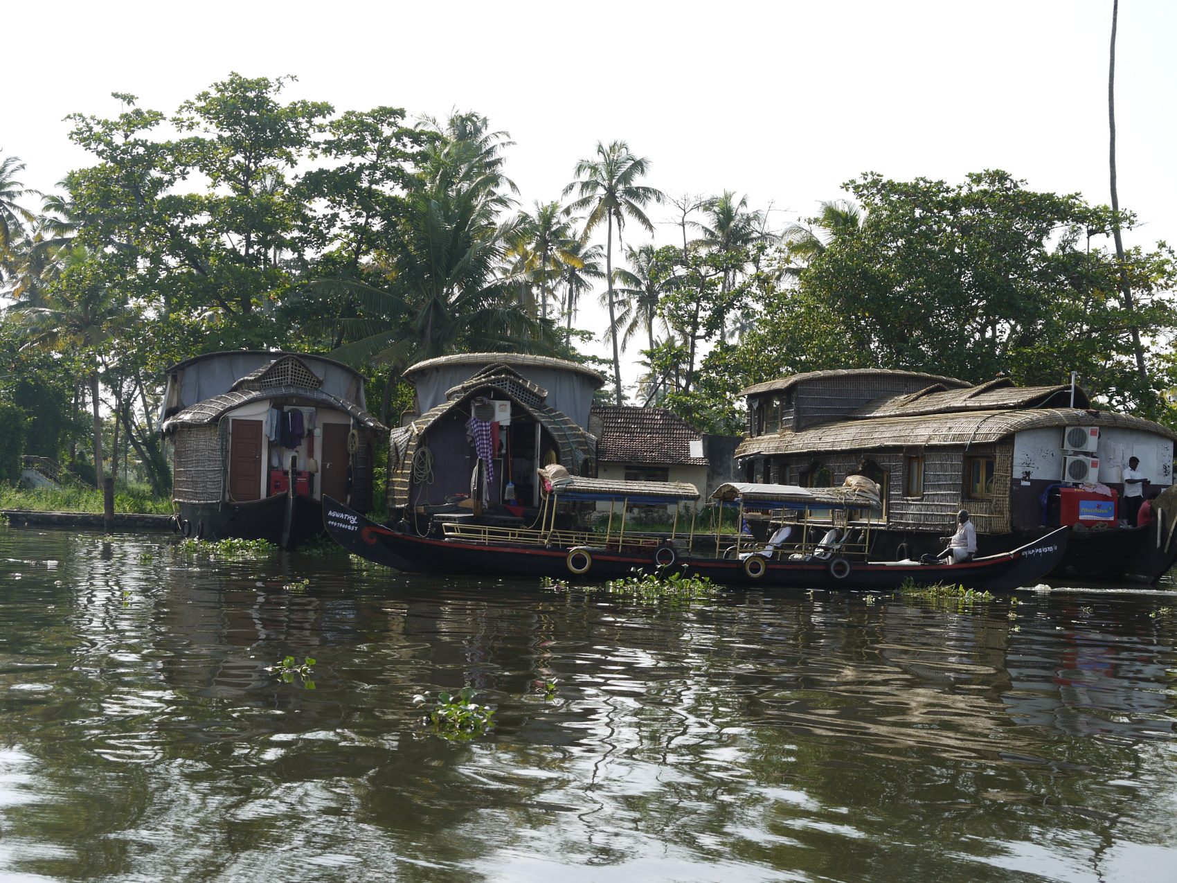 Тропическая Керала на Новый год (4/16)