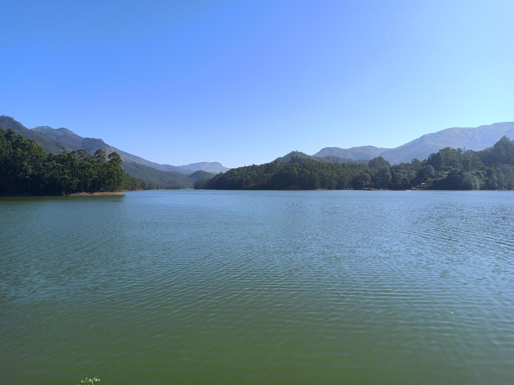 Тропическая Керала на Новый год (8/16)