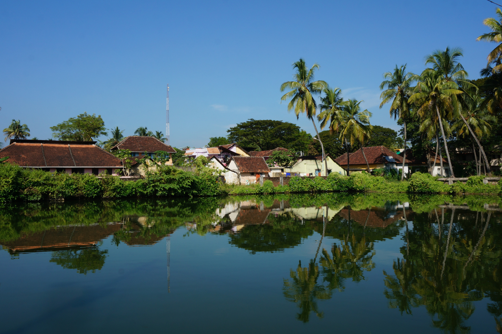 Тропическая Керала на Новый год (9/16)