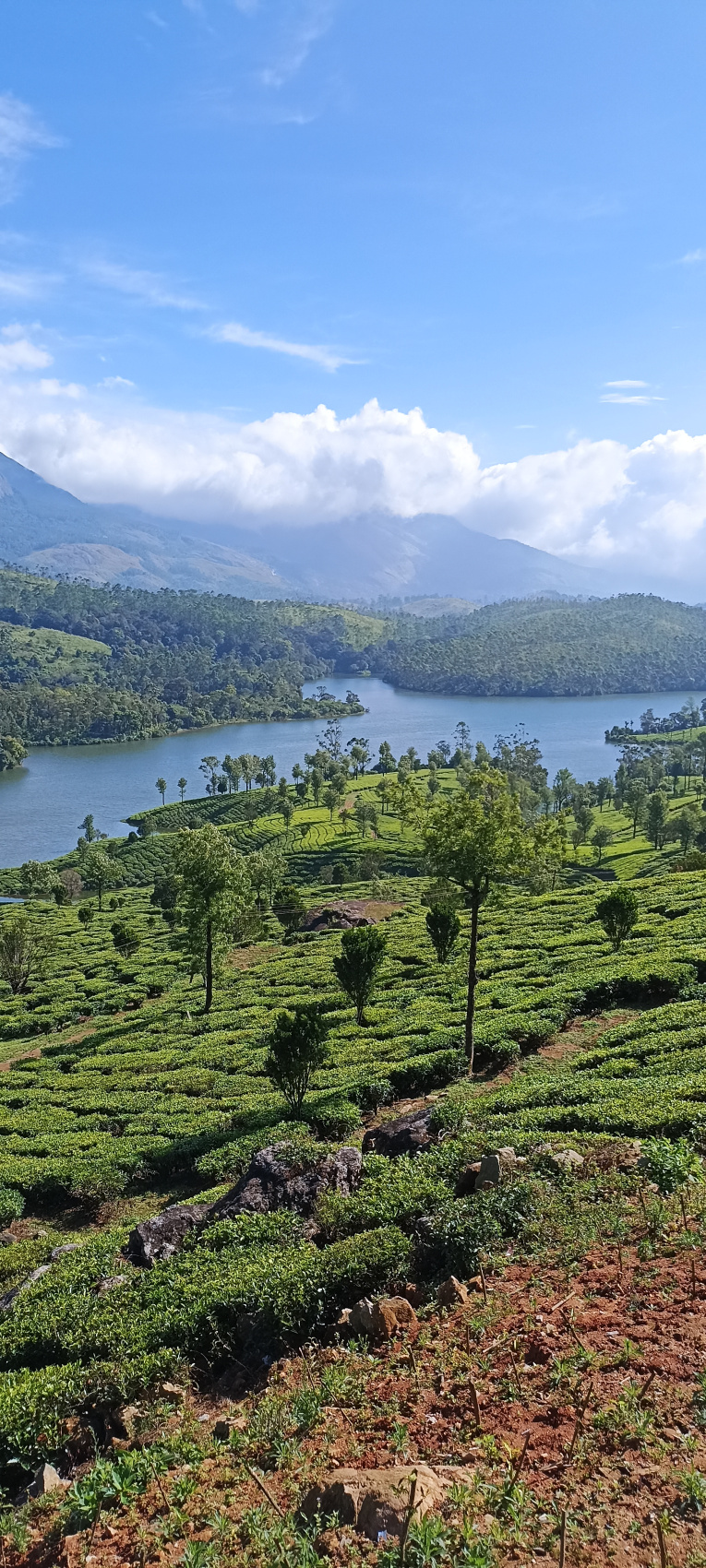 Тропическая Керала на Новый год (11/16)