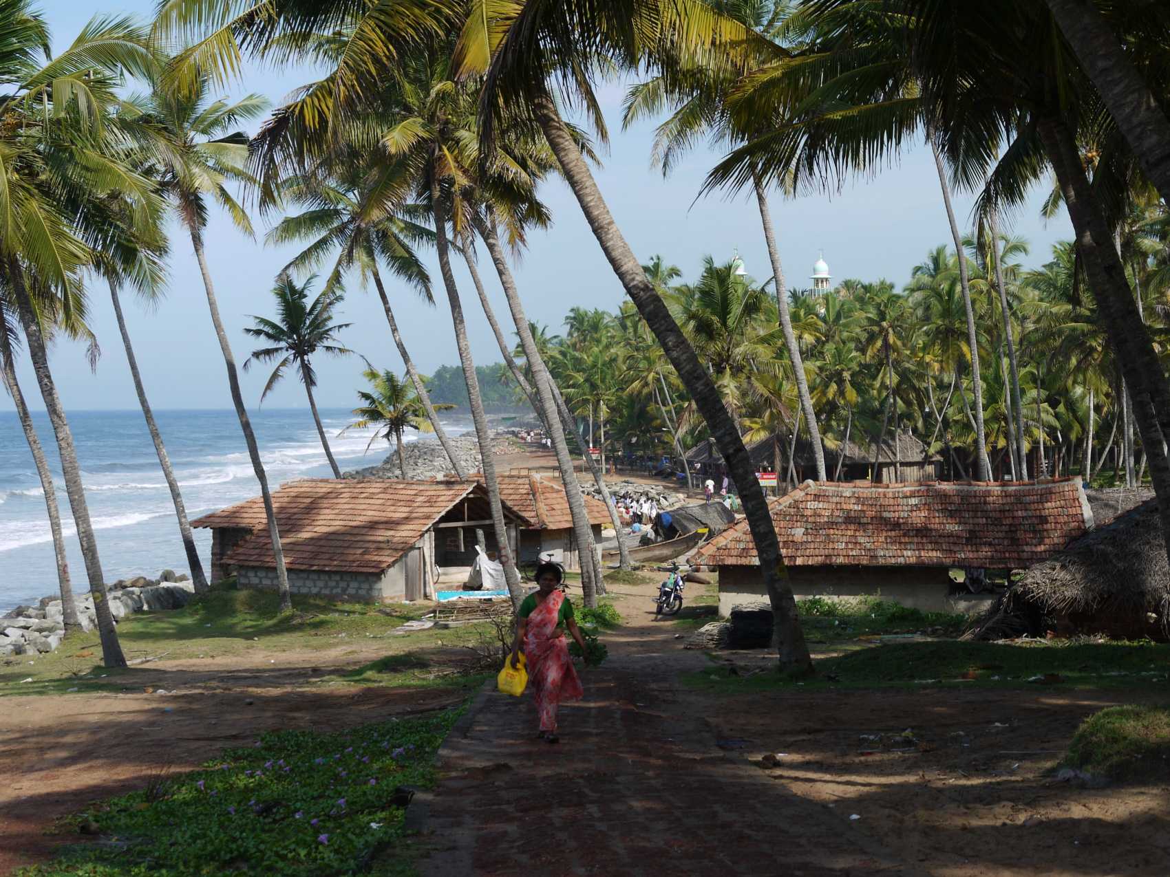 Тропическая Керала на Новый год (3/16)