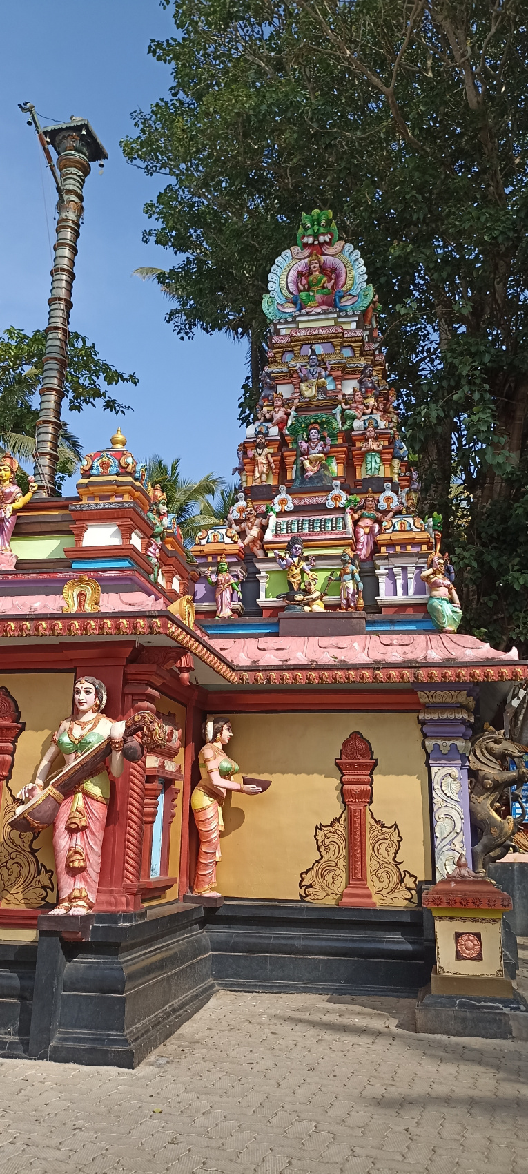 Тропическая Керала на Новый год (12/16)