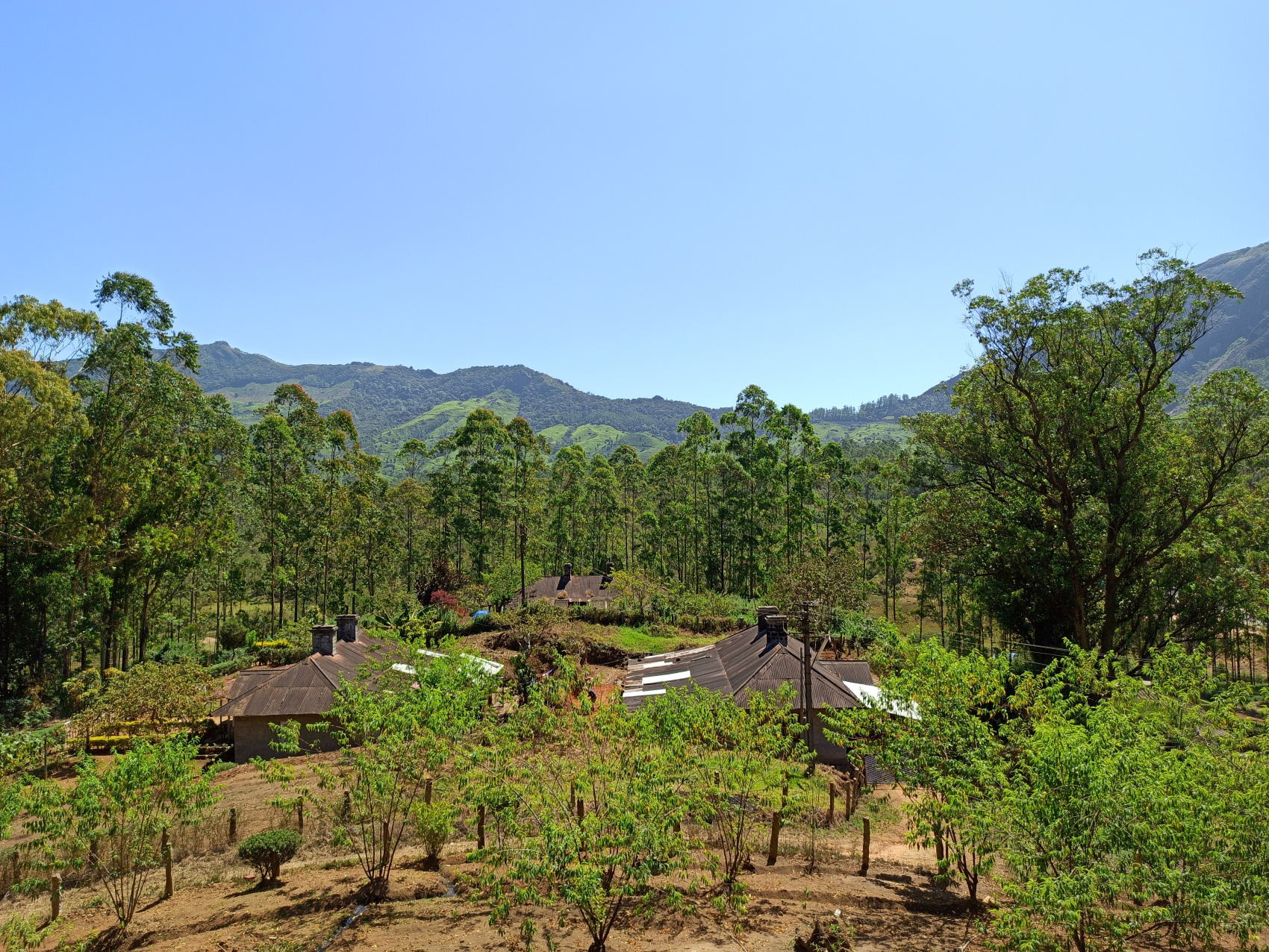 Тропическая Керала на Новый год (10/16)