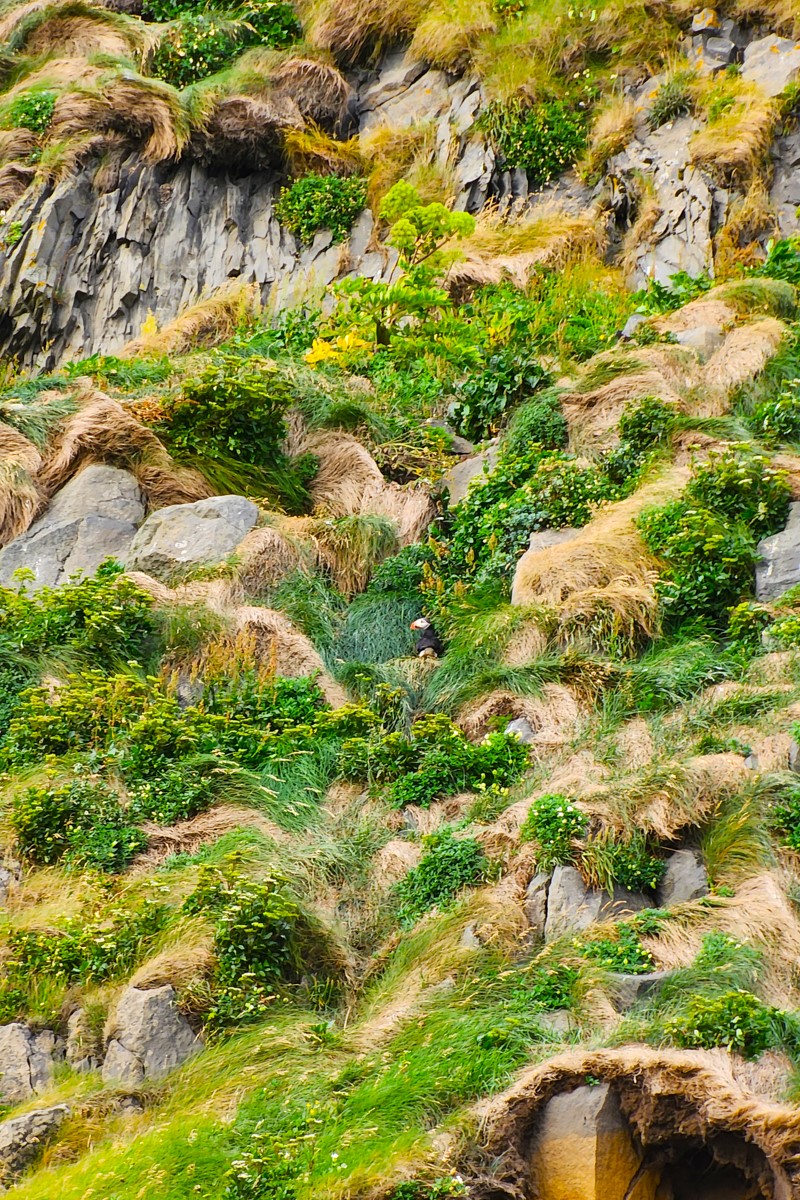 Вокруг Исландии за 10 дней. Все культовые локации (5/41)