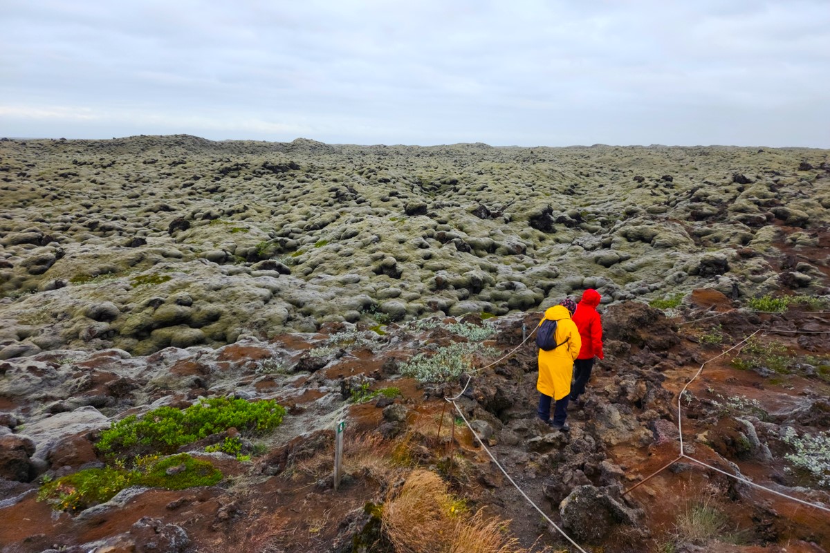 Вокруг Исландии за 10 дней. Все культовые локации (3/41)