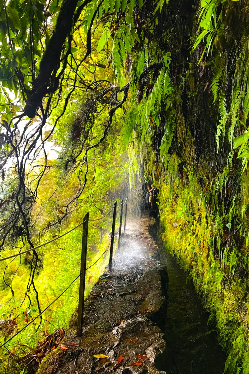 Мадейра - треккинги, океан и дельфины (8/39)