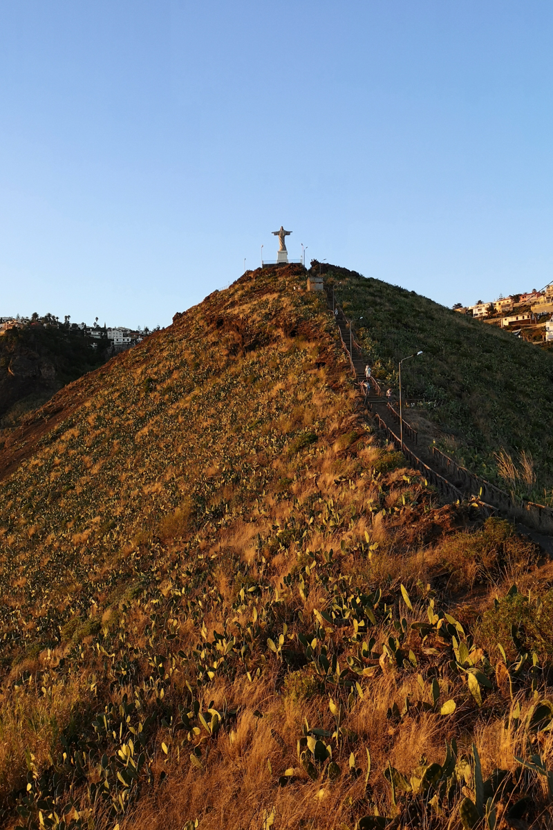 Мадейра - треккинги, океан и дельфины (10/39)