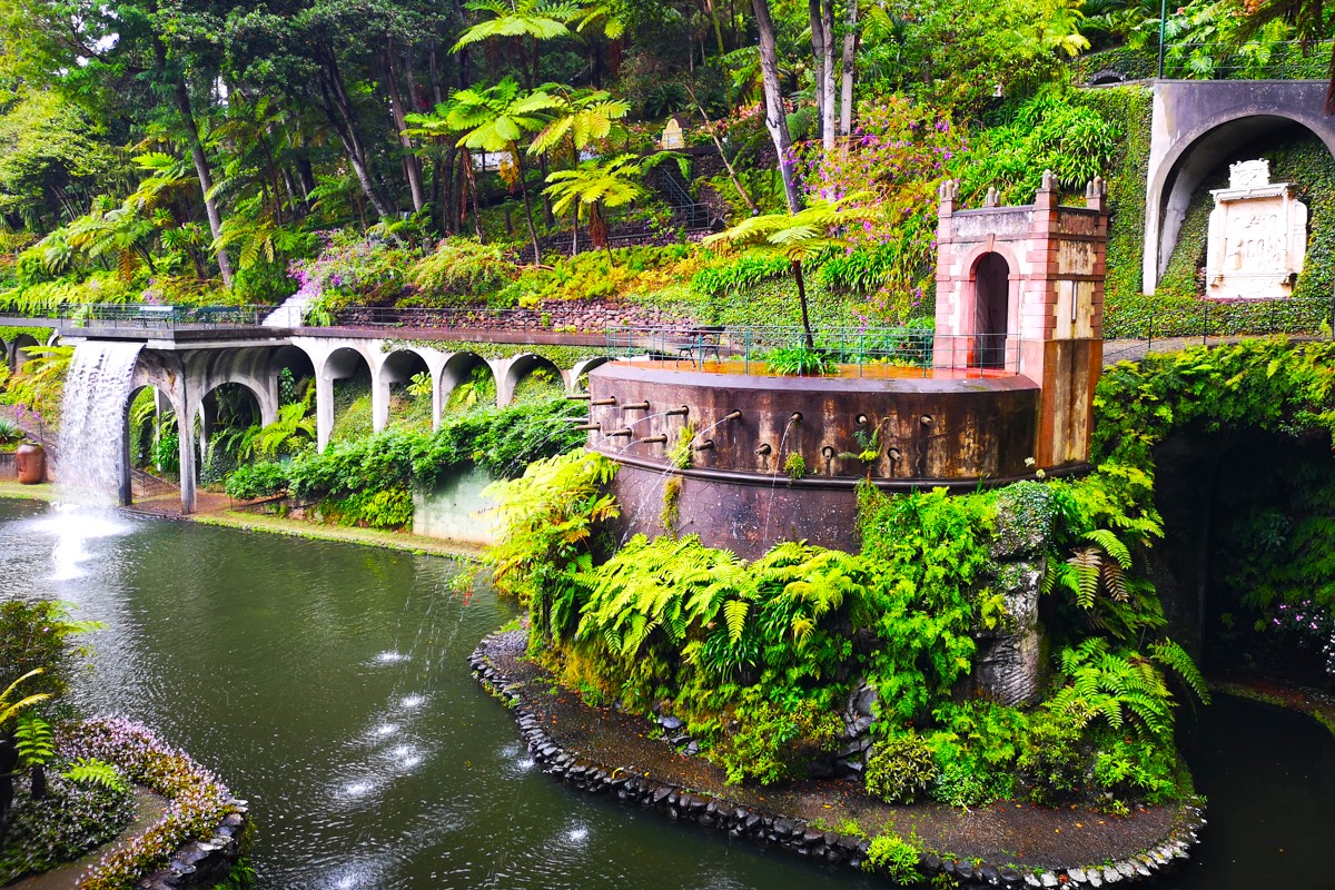 Мадейра - треккинги, океан и дельфины (4/39)