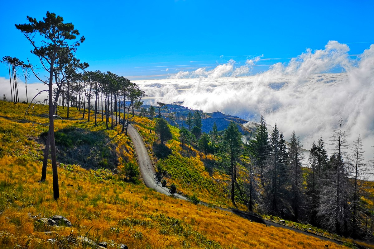 Мадейра - треккинги, океан и дельфины (7/39)