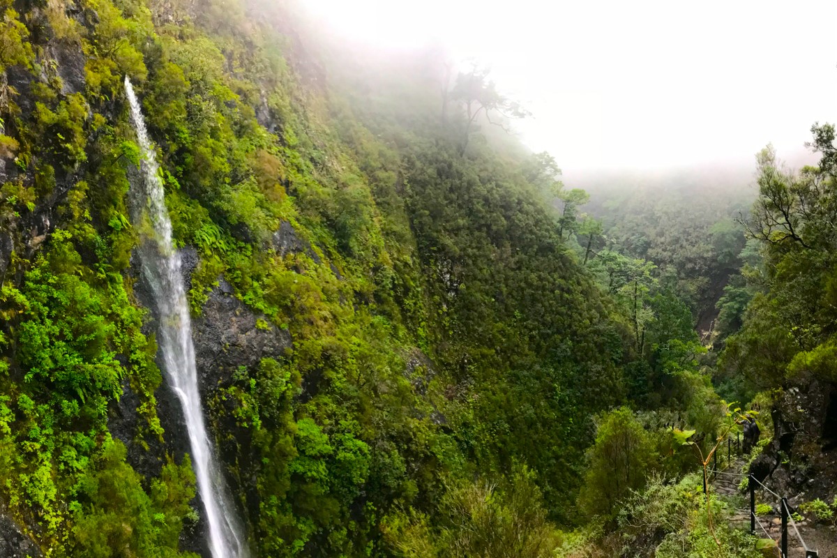Мадейра - треккинги, океан и дельфины (5/39)