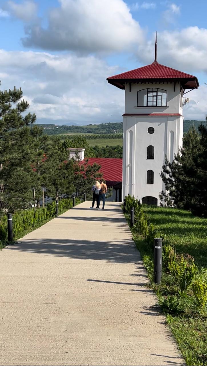 От Сочи до Тамани: путешествие со вкусом! (6/33)