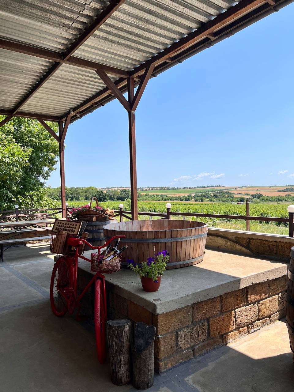 От Сочи до Тамани: путешествие со вкусом! (3/33)