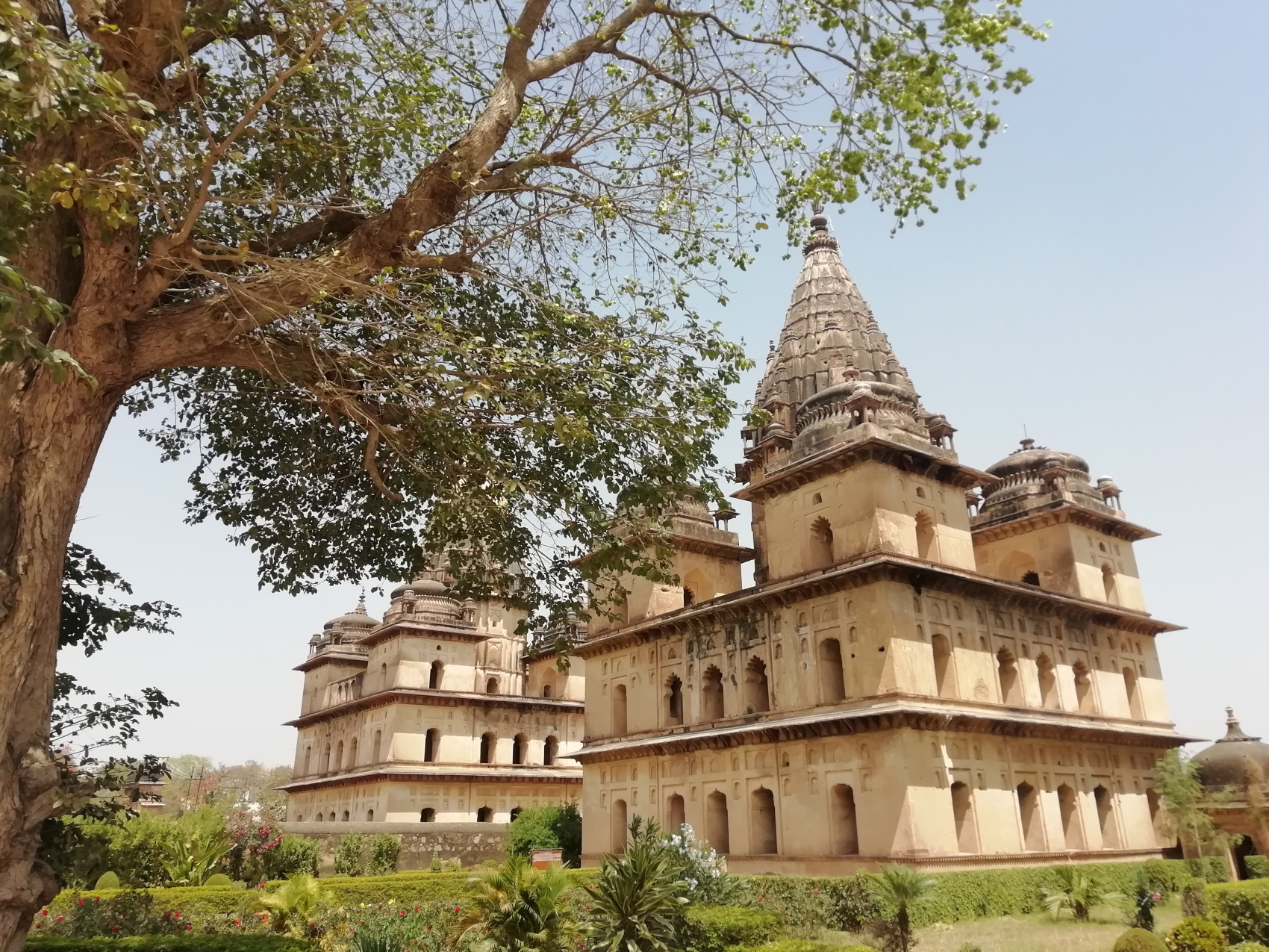По землям Раджей. В Индию на Фестиваль Танцев в Кхаджурахо (6/10)