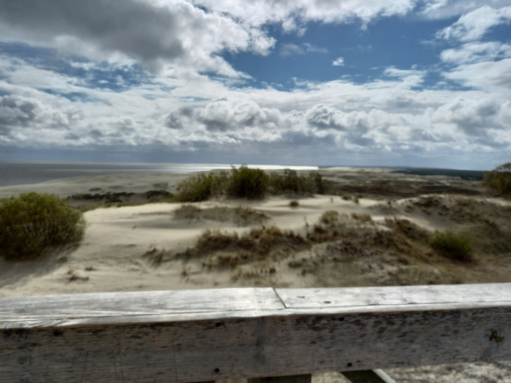 Янтарная свадьба (15/44)